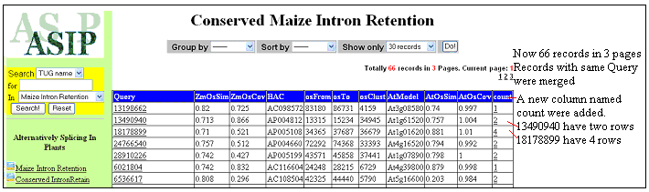 Example of group by query results