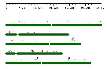 sRNA (Click to view in Genome Browser)