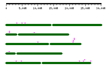 sRNA (Click to view in Genome Browser)