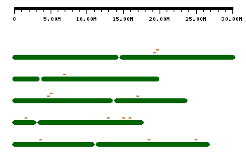 sRNA (Click to view in Genome Browser)