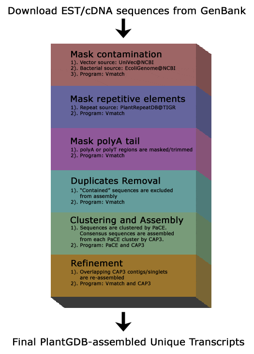 PUT Procedure Diagram